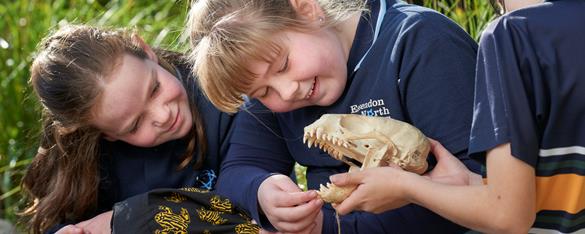 Three students examine an animal skull at Melbourne Zoo. Animal skull has mouth open and students are looking at and feeling the sharp teeth.