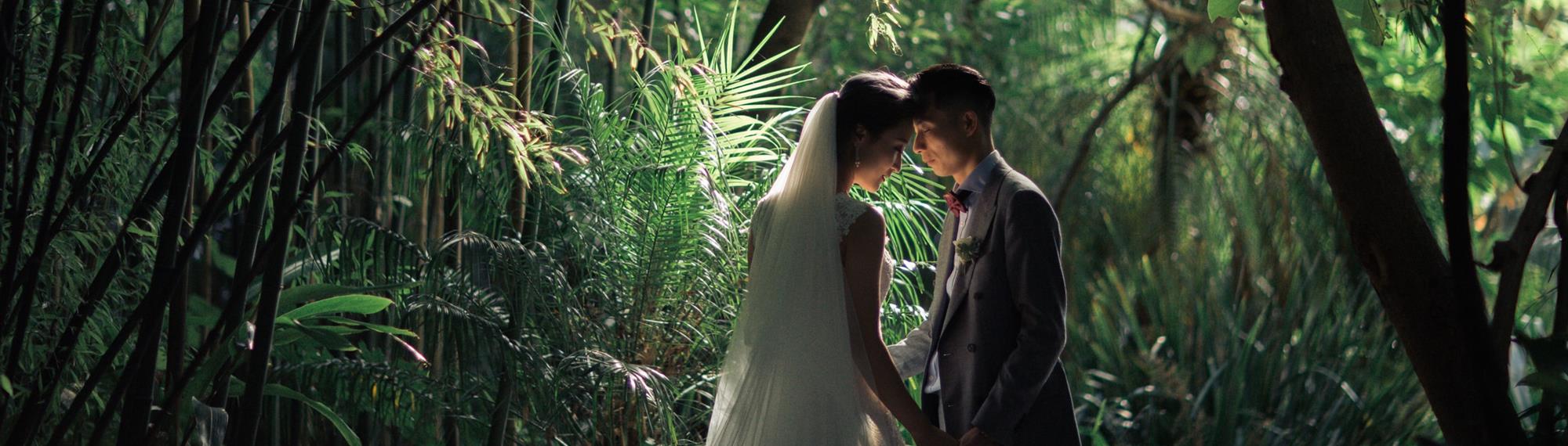 Bride and groom gazing into each others eyes while holding hands. Set in a lush rain forest setting. 