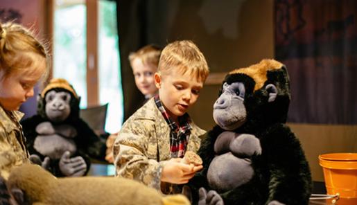 young children dressed up as rangers, checking the health of some plush gorilla toys