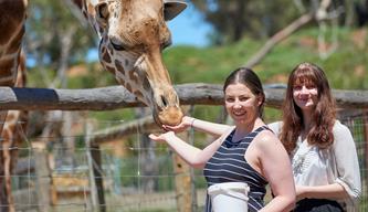 Two women smiling looking at the camera while feeding a giraffe.