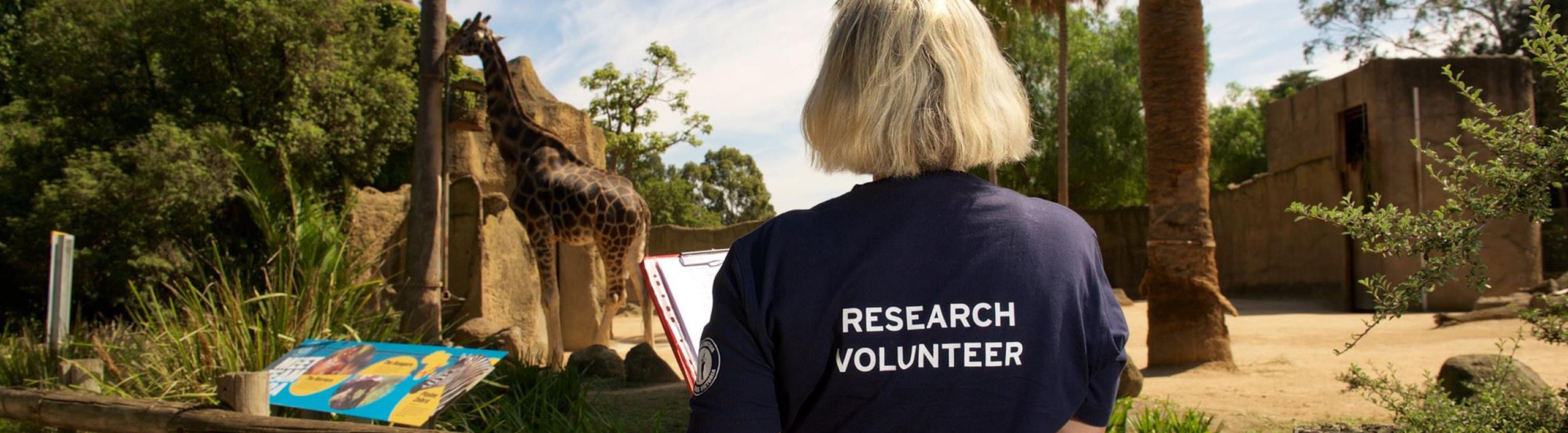 Woman wearing tshirt saying Research Assistant looking at giraffe.