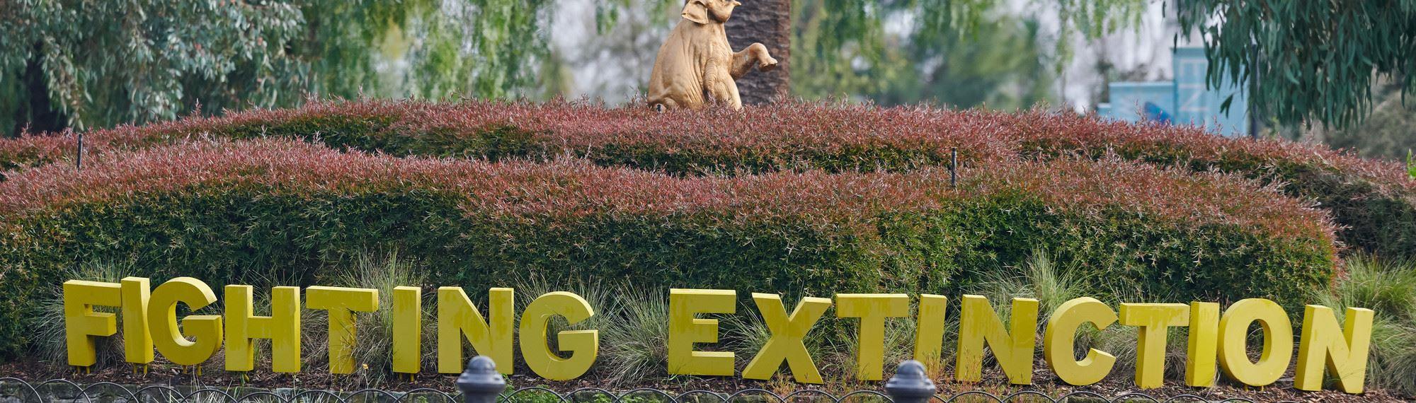 Sign saying Fighting Extinction with small hedge and golden elephant statue behind.
