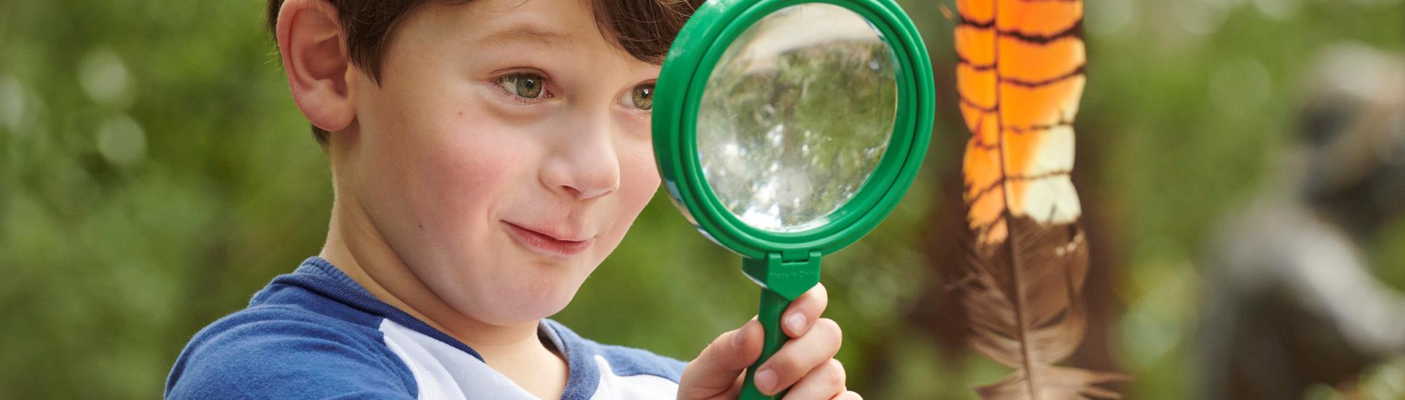Kindergarten boy looking through a green magnifying glass to examine a brightly coloured orange and black striped feather.