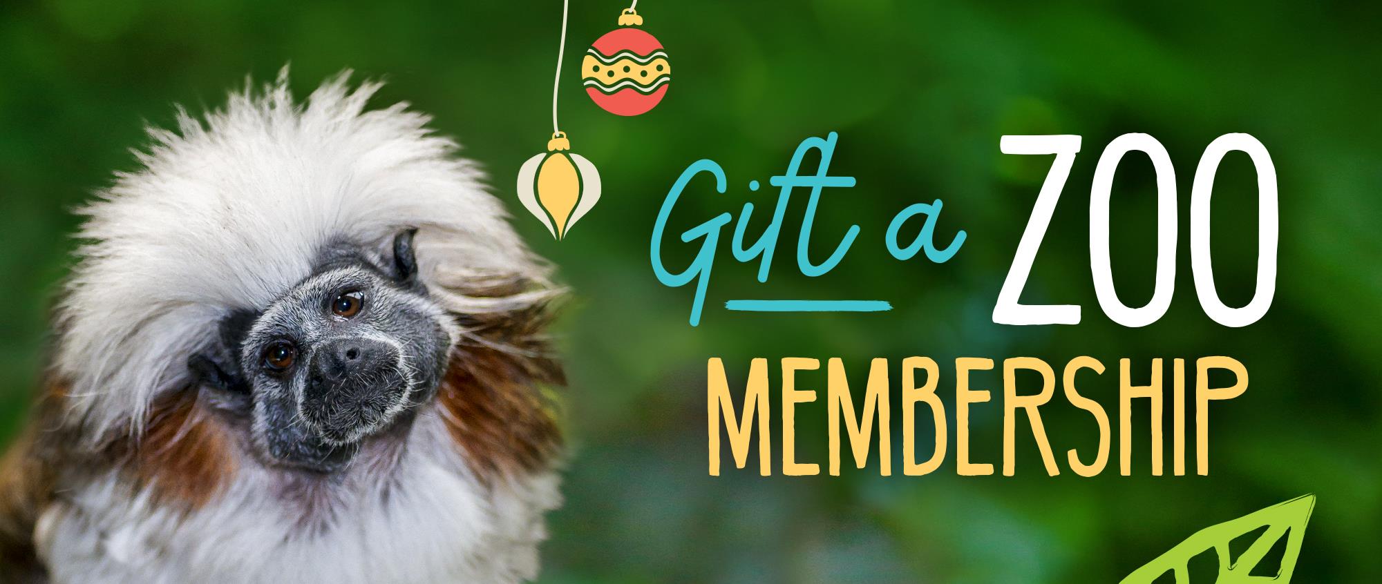 safari park and zoo membership