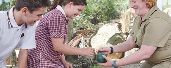 A smiling Zoo Teacher shows two secondary students a replica emu egg. 
