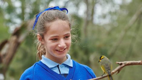 Close-up of a student facing a Helmeted Honey-eater while smiling.