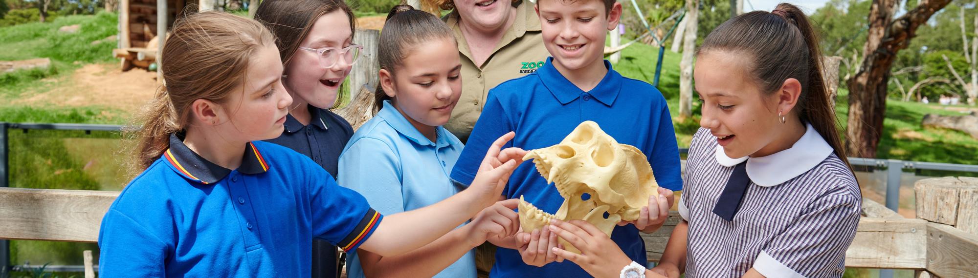 Five school students and a keeper with a Lion skull.
