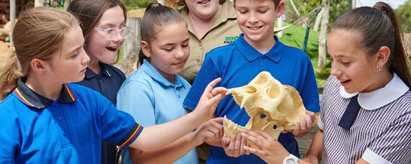 Five school students and a keeper with a Lion skull.