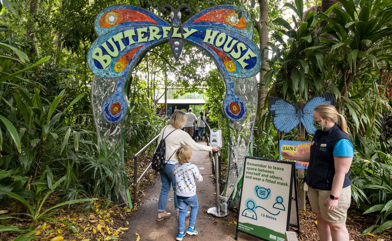Melbourne Zoo's Iconic Butterfly House Reopens