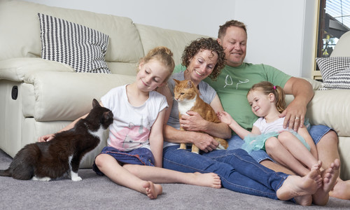 Two adults and two children sitting on the floor in a lounge room with one black and white cat and one ginger cat