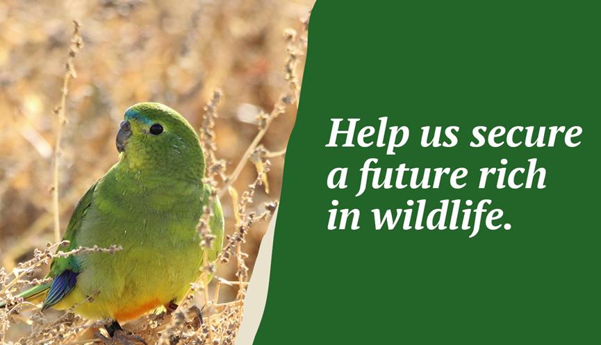 Orange-Bellied Parrot on left hands side and "Help us secure a future rich in wildlife" text on right hand side in green banner.