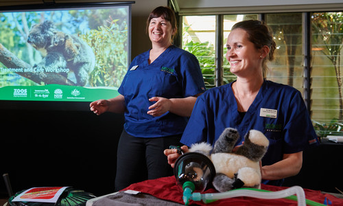Two women in scrubs are smiling and looking off camera. A toy koala with a oxygen mask on it is lying on the table in front of one woman.