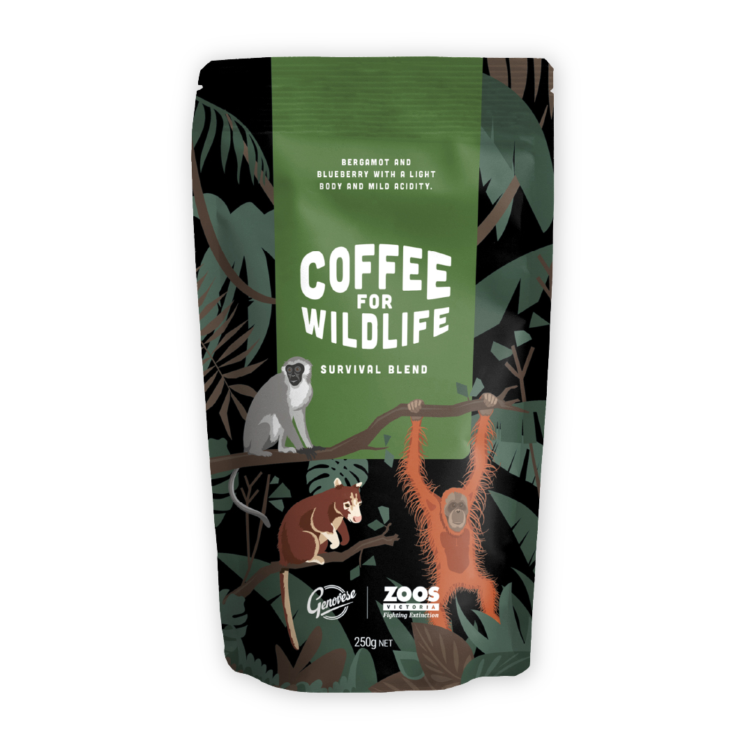 A bag of coffee with images of Orangtuan, Tree Kangaroo and Vervet monkey