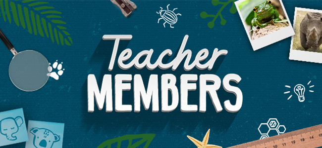 Text saying Teacher Members, with random teaching items on a blue background