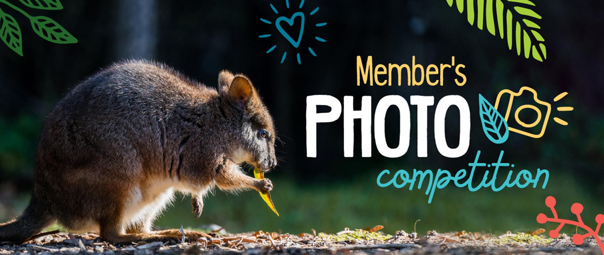 Member Photo Competition