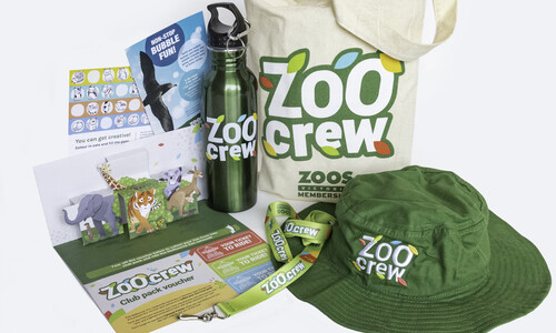 zoo crew pack image