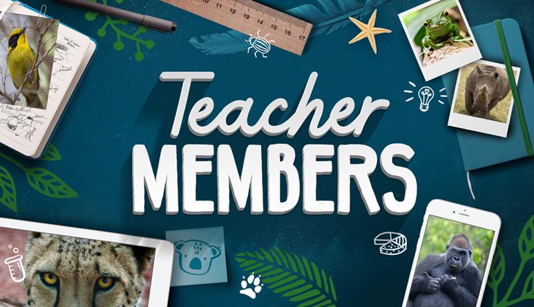 Education - Teacher Members Tile