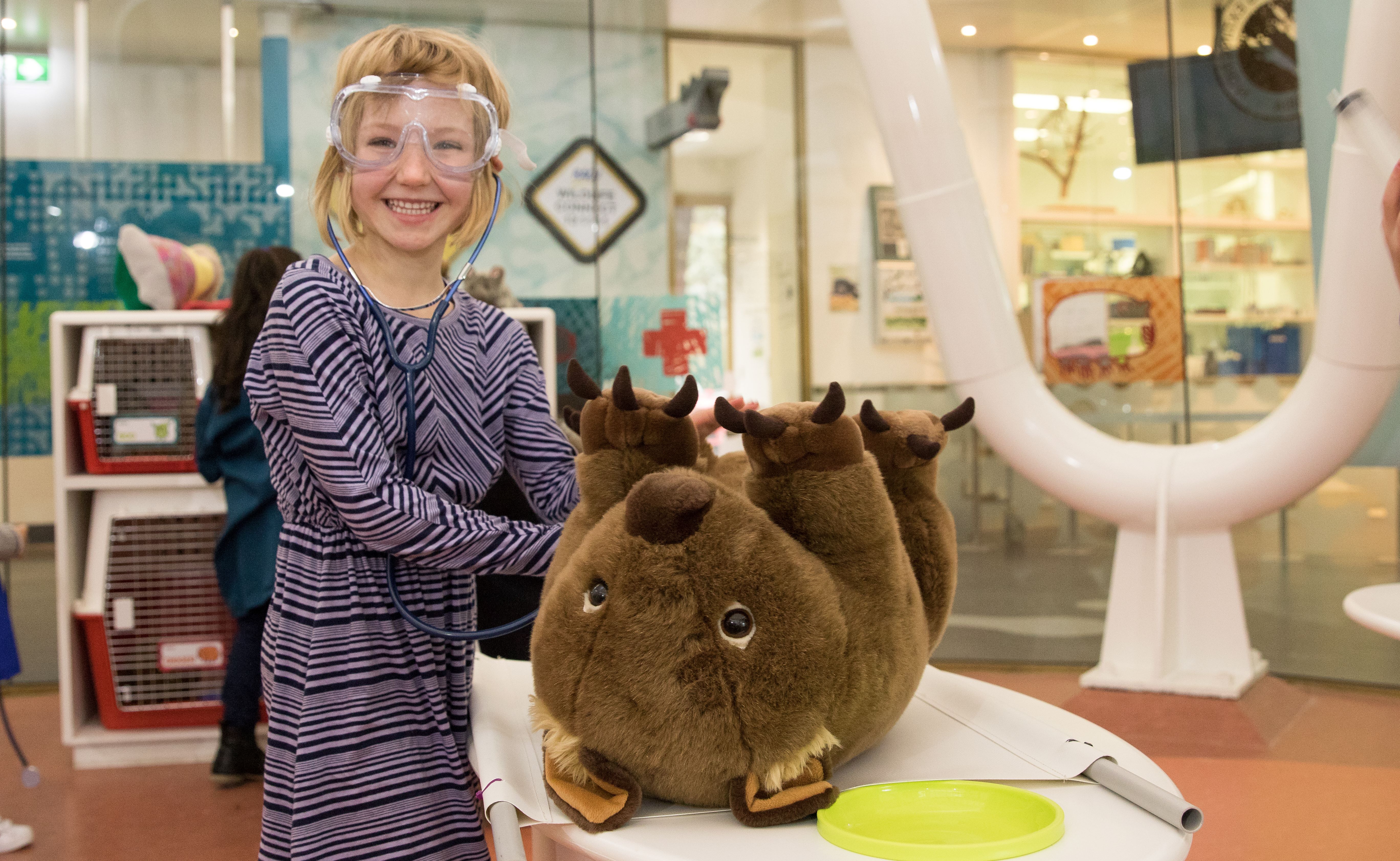 A girl examining a wombat plush at Future Vets.