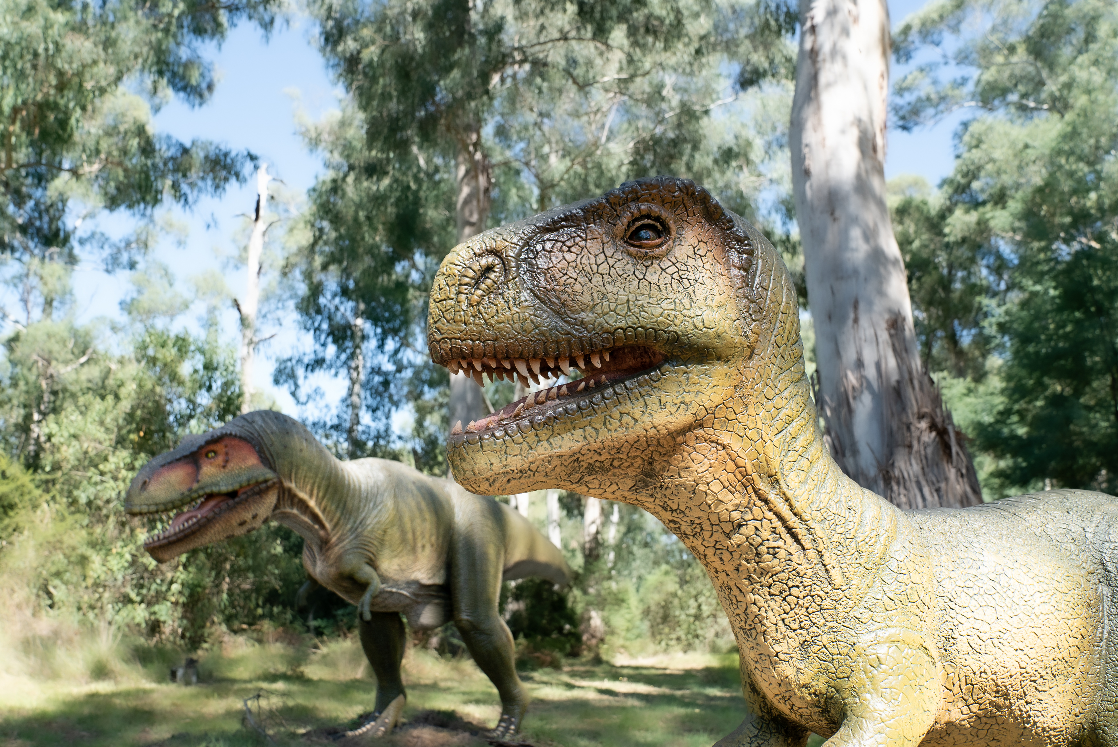 Dinos at Healesville Sanctuary