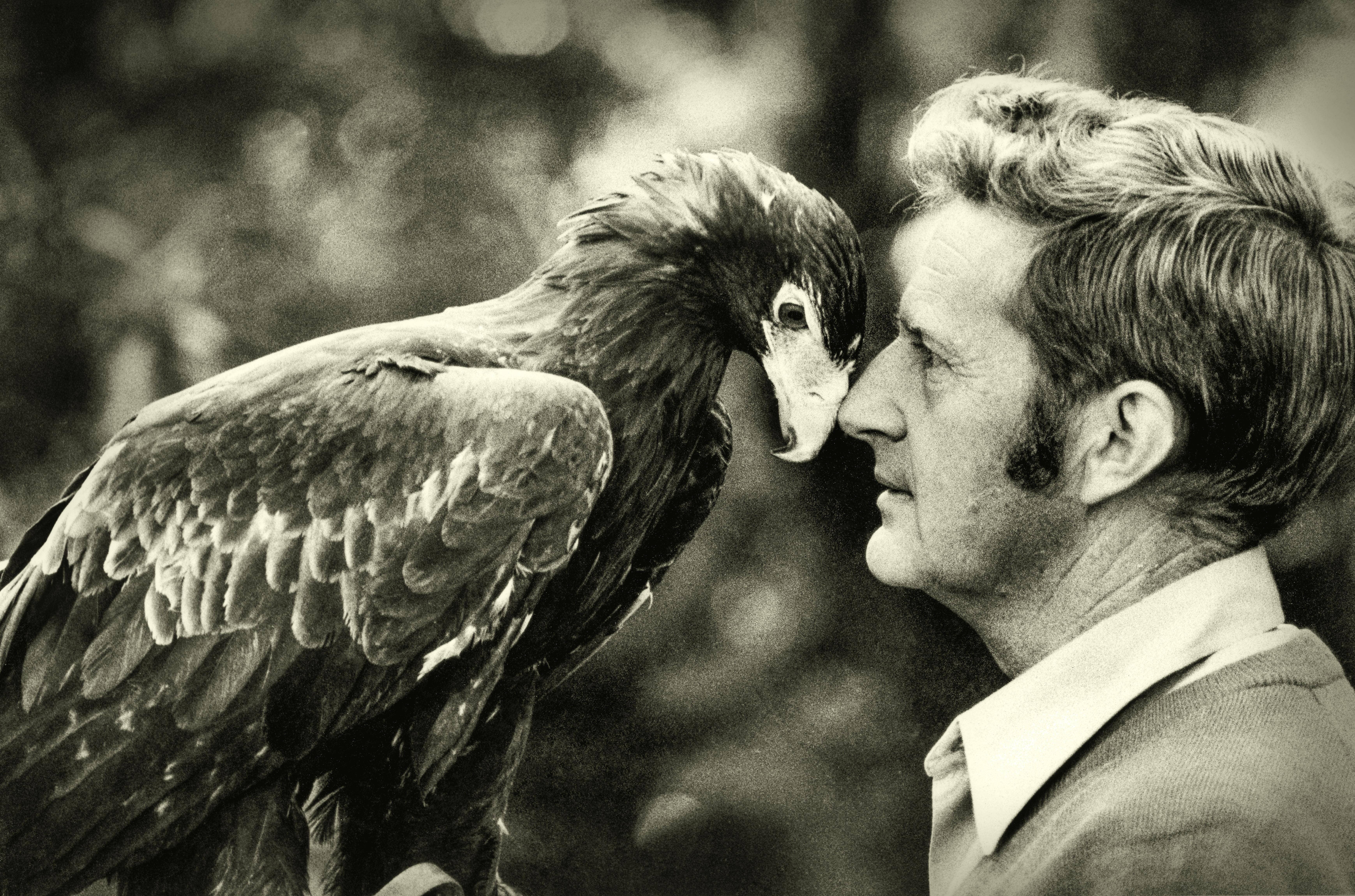 Historical image of keeper Kevin with eagle Jess